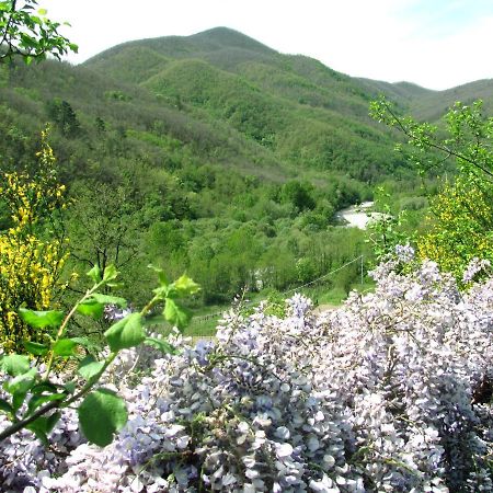 Agriturismo Il Giglio E La Rosa Villa Montale  Екстериор снимка