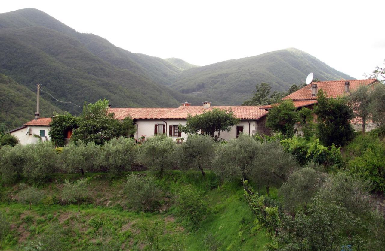 Agriturismo Il Giglio E La Rosa Villa Montale  Стая снимка