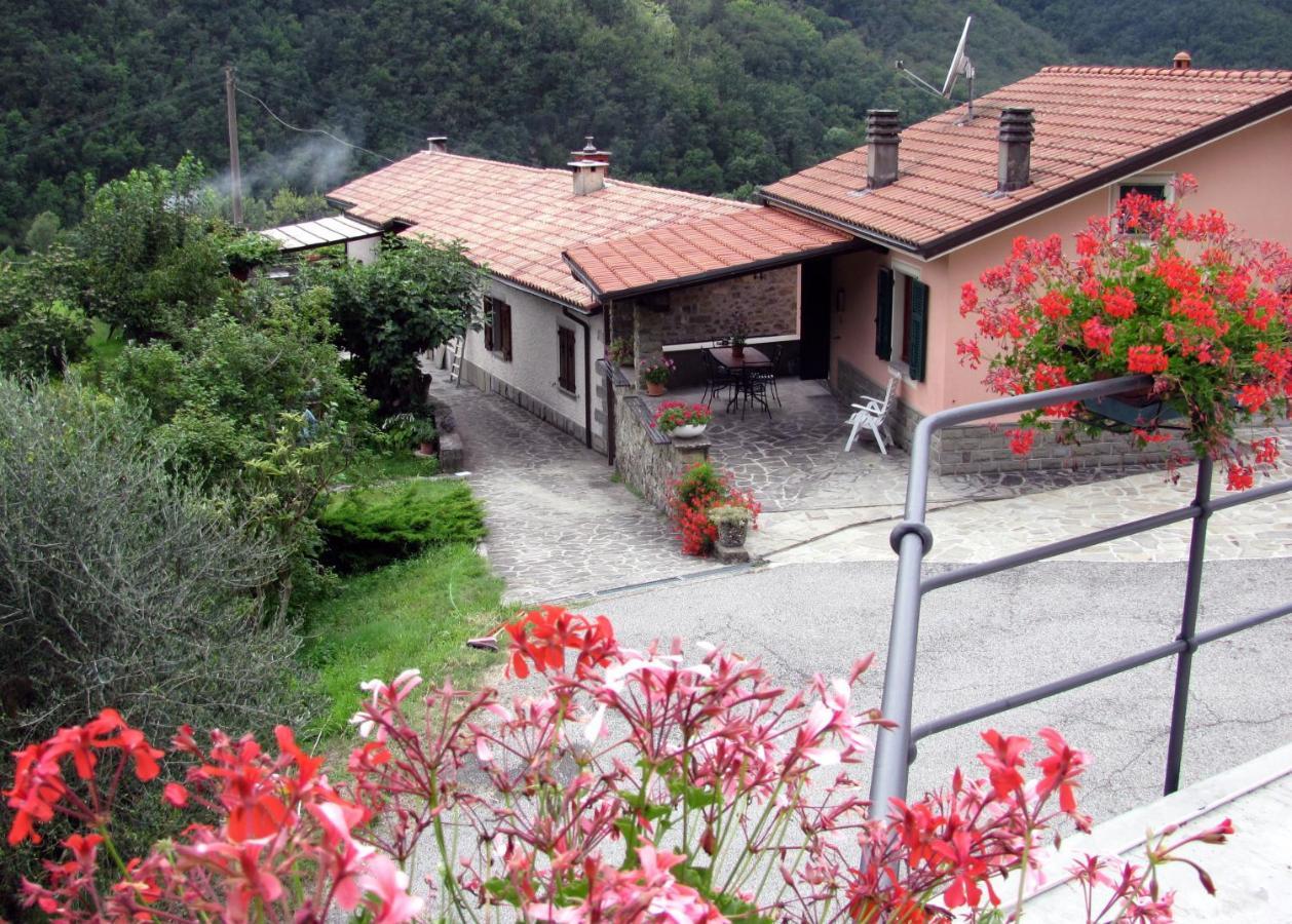 Agriturismo Il Giglio E La Rosa Villa Montale  Стая снимка