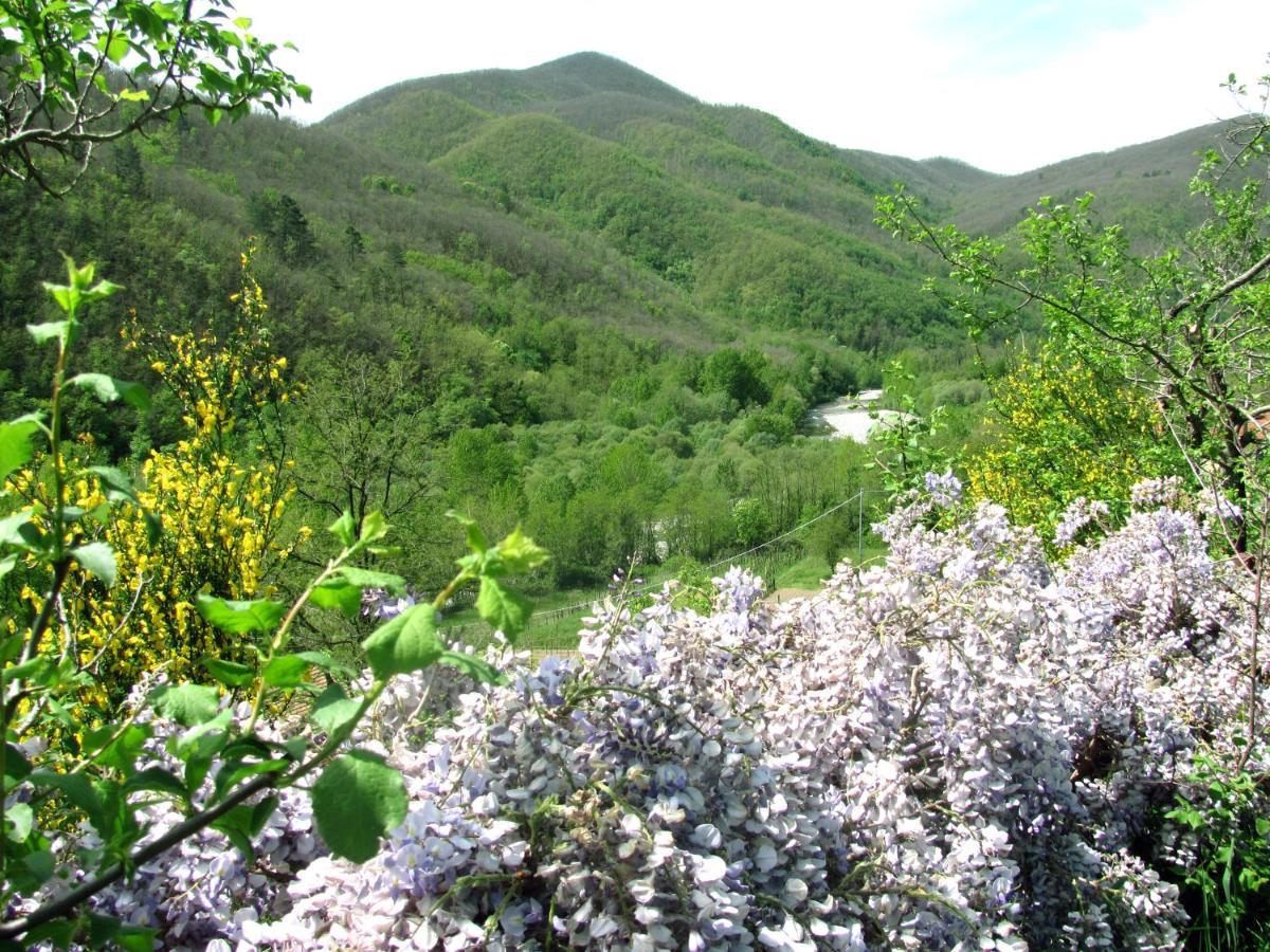 Agriturismo Il Giglio E La Rosa Villa Montale  Екстериор снимка